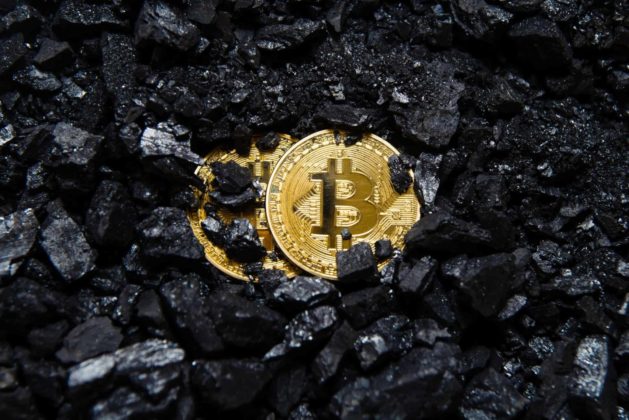 bitcoin NZ New Zealand coin in pile of coal