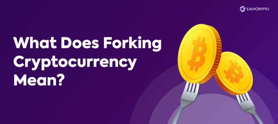 Blog cover for forking cryptocurrency