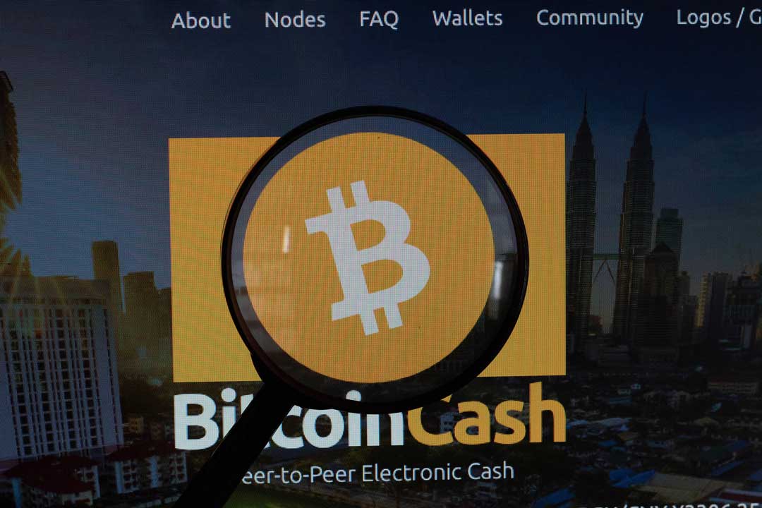 The logo of Bitcoin Cash is seen through magnifying glass on the screen