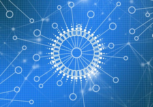 lisk blockchain network New Zealand with blue background