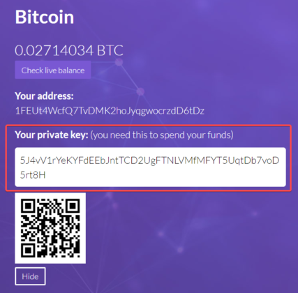 private key screenshot from Easy Crypto website wallet feature
