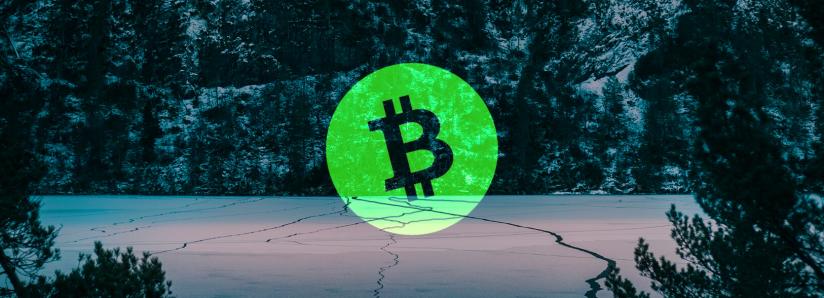 the-future-of-bitcoin-cash-vs-bitcoin-sv