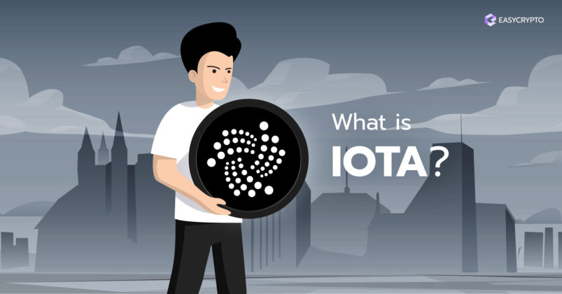 Illustration of a guy holding the IOTA logo