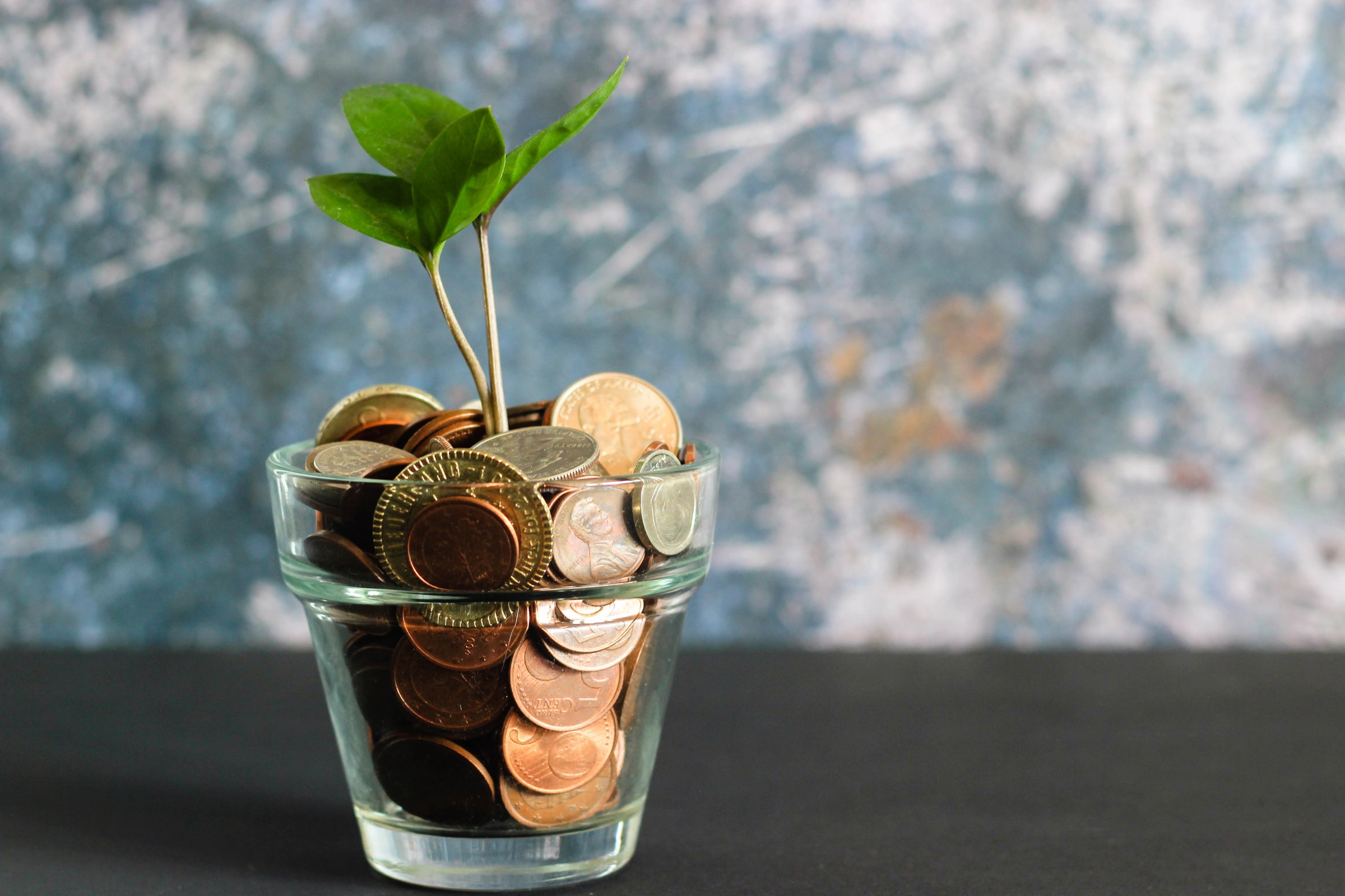 Coins inside a potted plant.