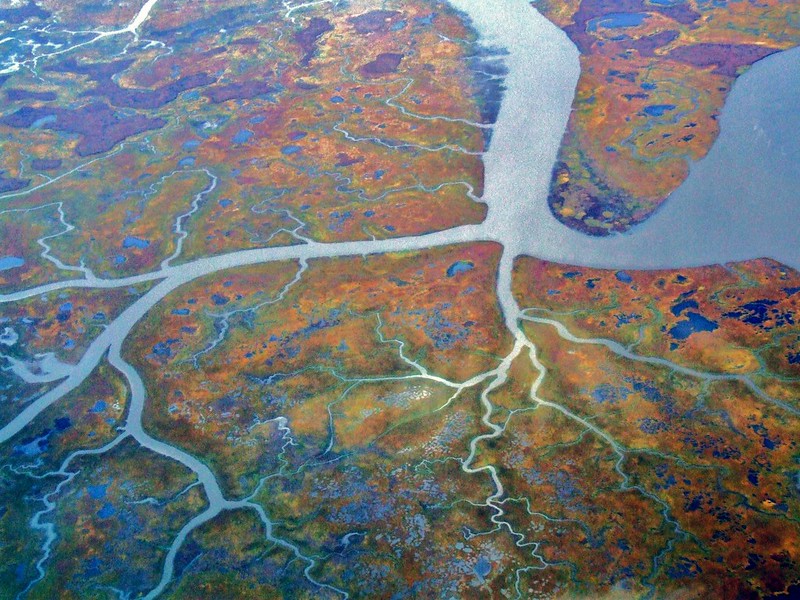 Aerial photograph of river tributaries.