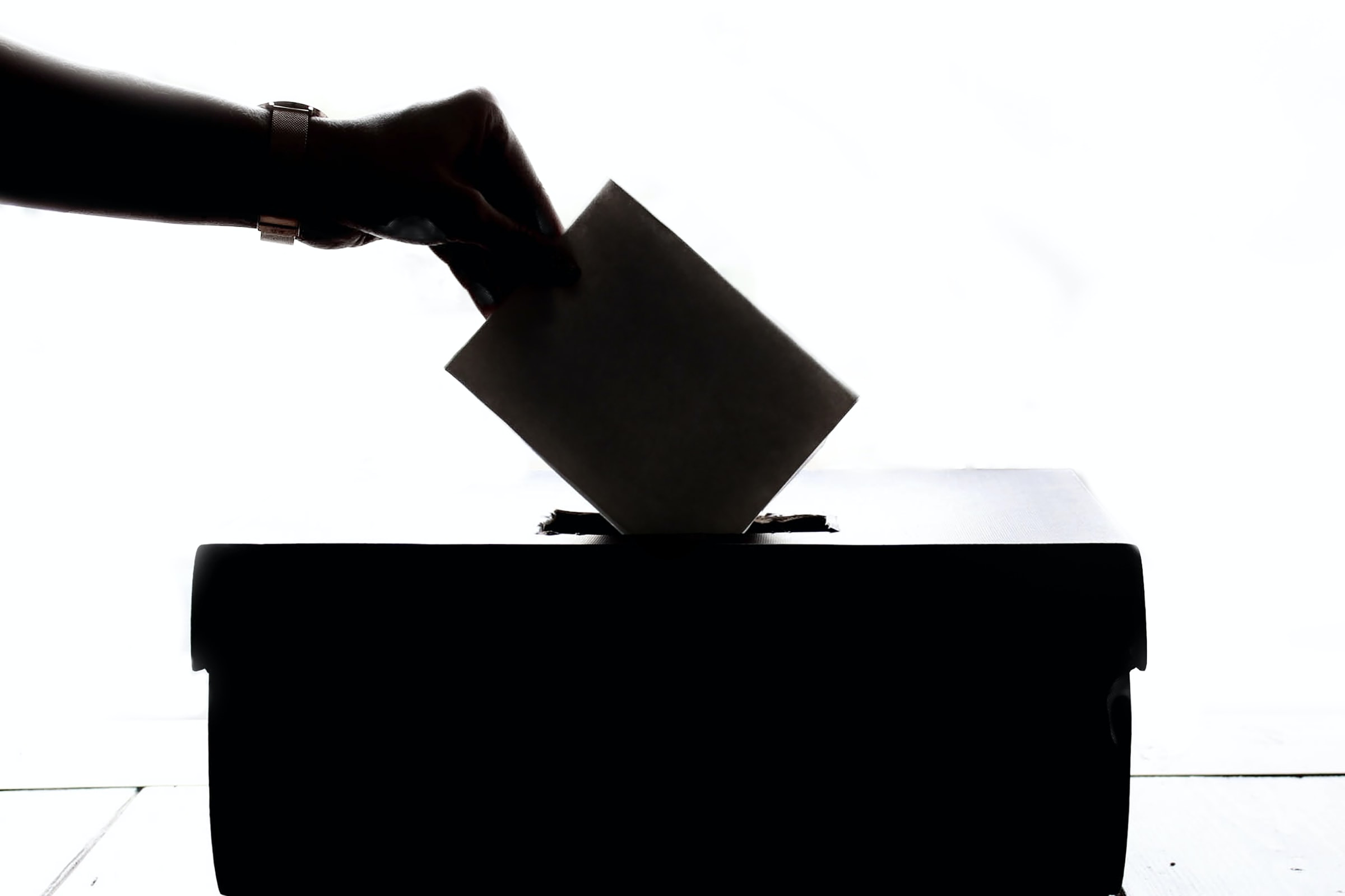 A silhouette of a person putting a vote in a ballot box.