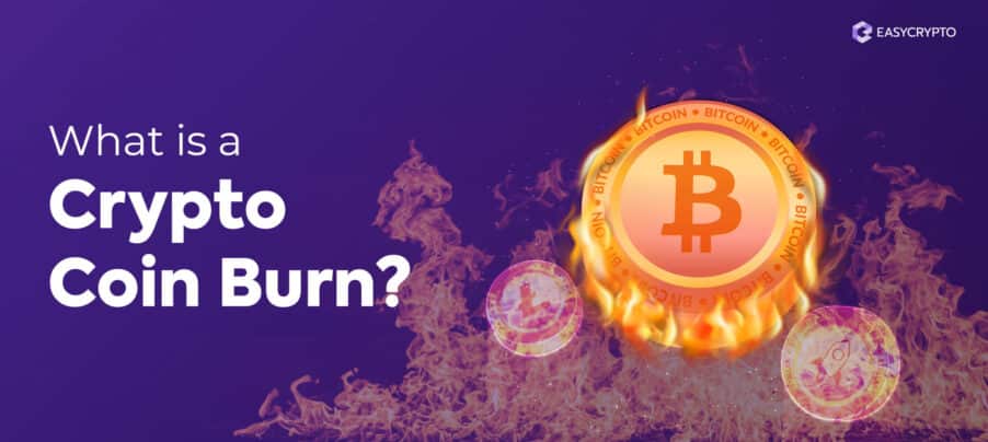 Blog cover illustration of what is a crypto coin burn
