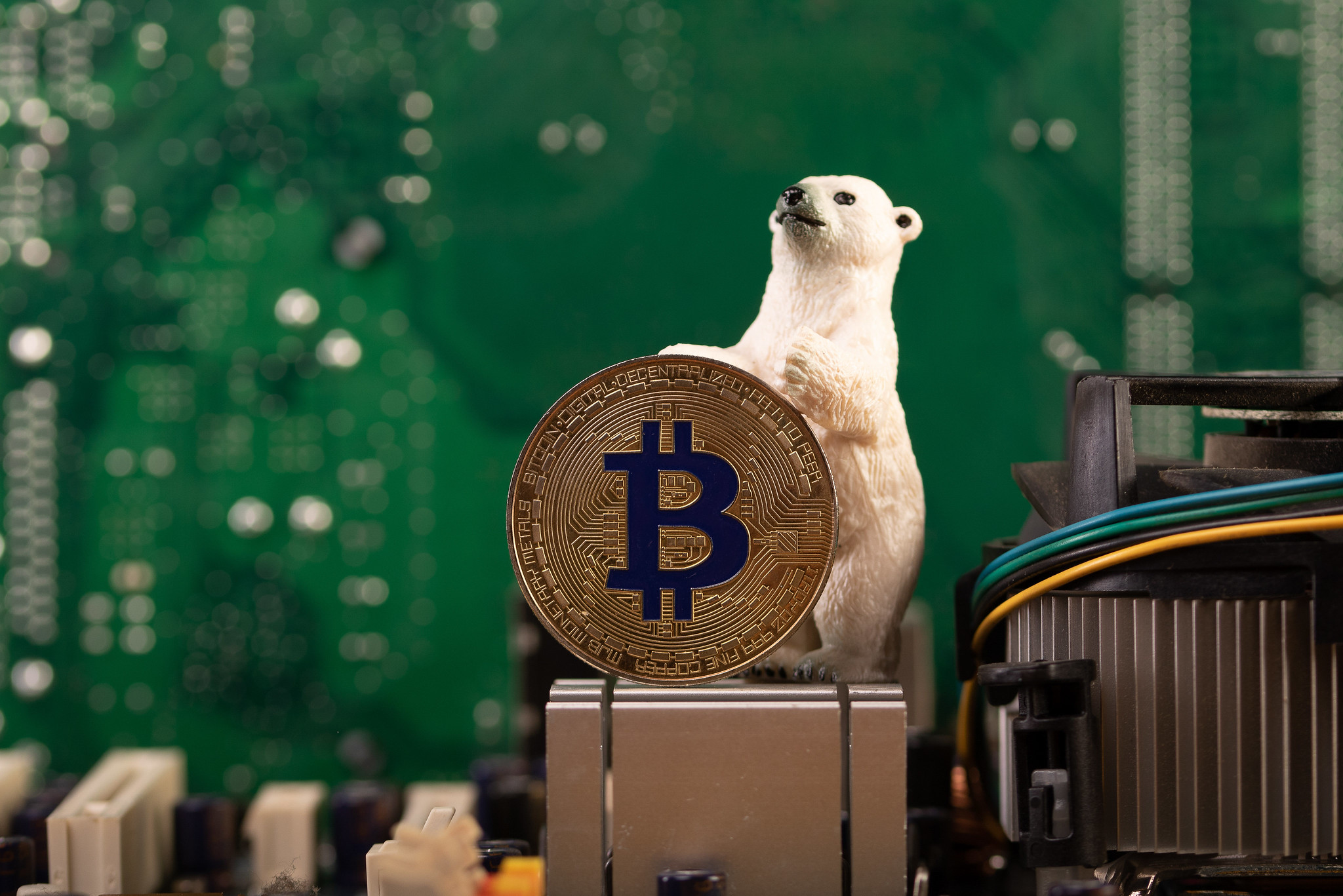 Model polar bear holding a model eco-friendly bitcoin inside green motherboard.
