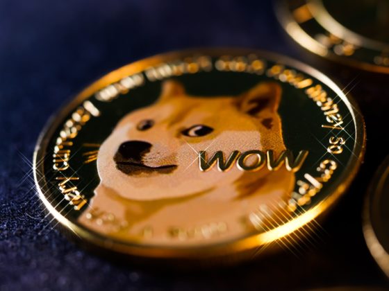 Close up photo of a physical dogecoin.