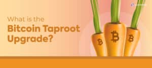 Blog cover illustration of three carrots with the bitcoin logo to depict the topic of Bitcoin taproot upgrage