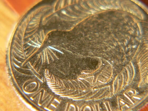 A New Zealand 1 dollar coin