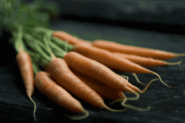 taproot Carrot taproot, named after the Bitcoin Taproot update