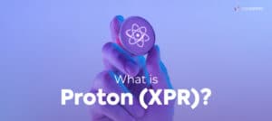 Image showing hand holding a Proton (XPR) coin.