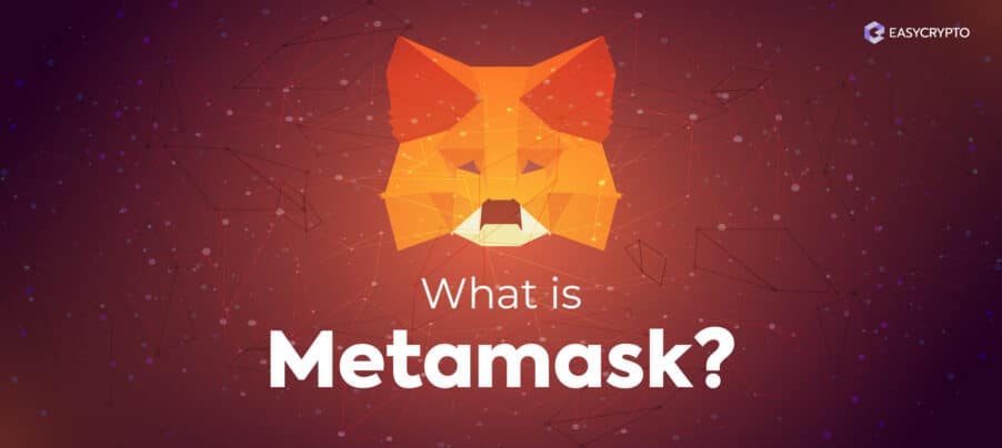 Blog cover illustration for what is MetaMask crypto wallet