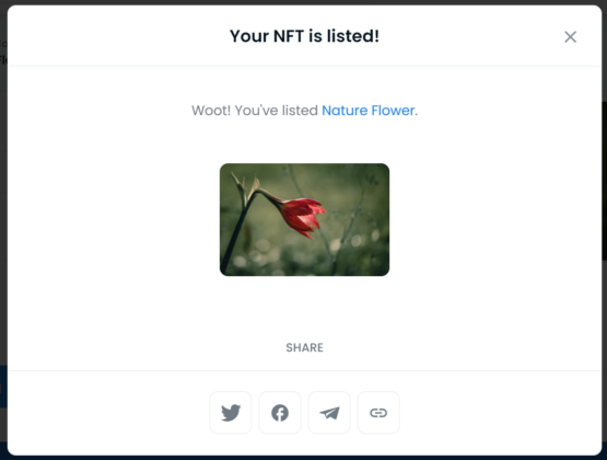 OpenSea your NFT is listed