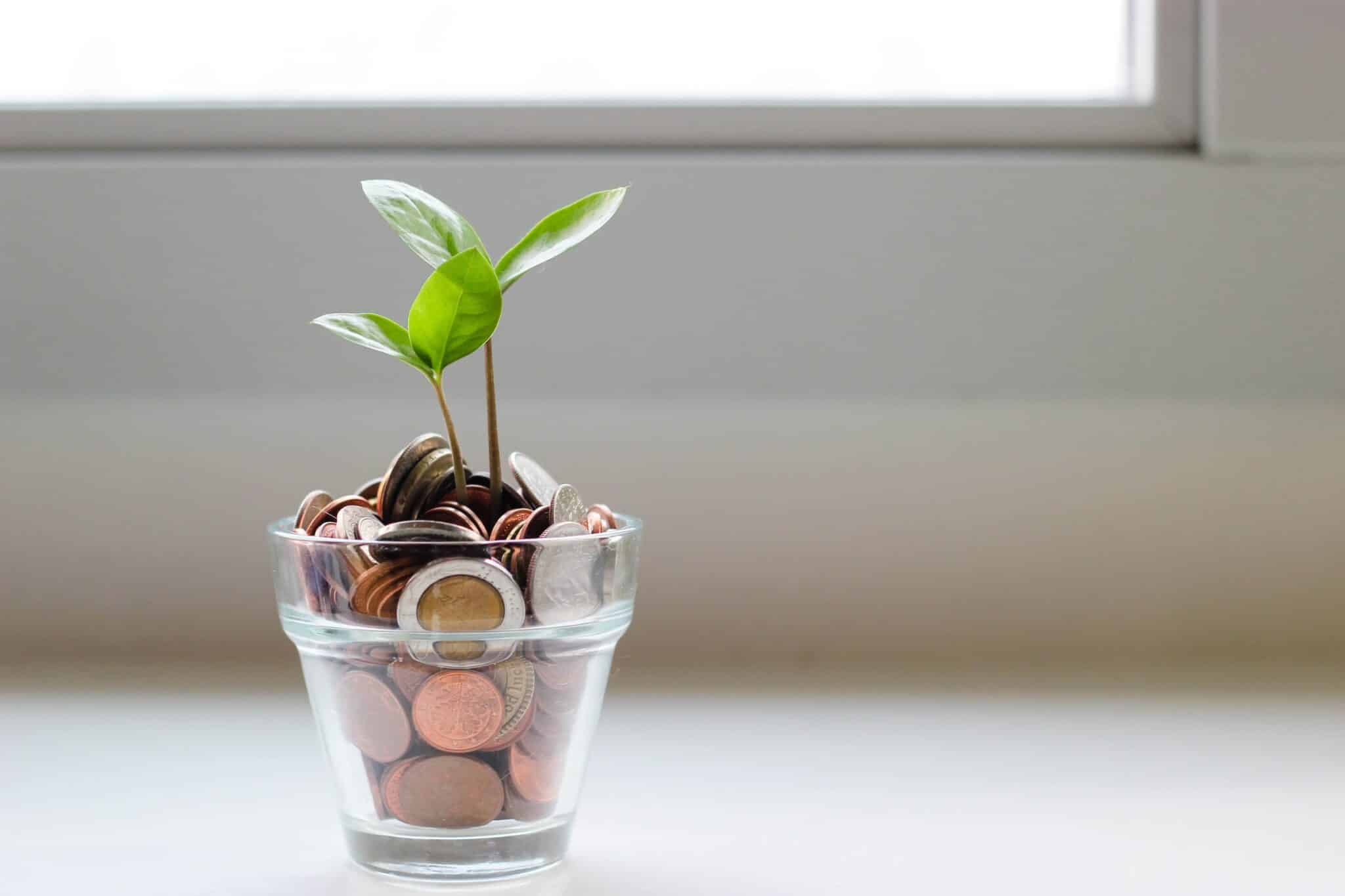 Plant in a bowl with coins as the dirt.