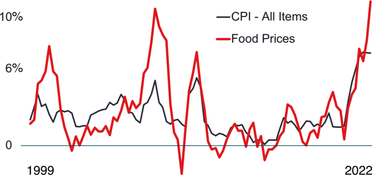 CPI vs Food prices chart from 1999 to 2022