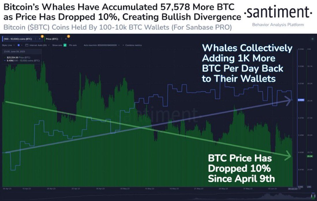 Chart showcasing Bitcoin Whales from Santiment.
