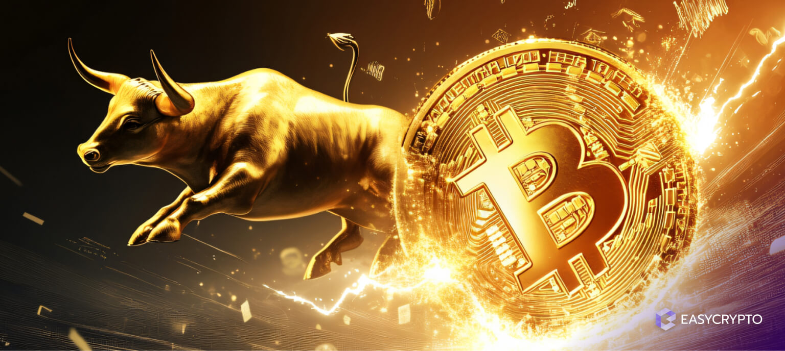 Crypto Bull Runs, explained - Easy Crypto
